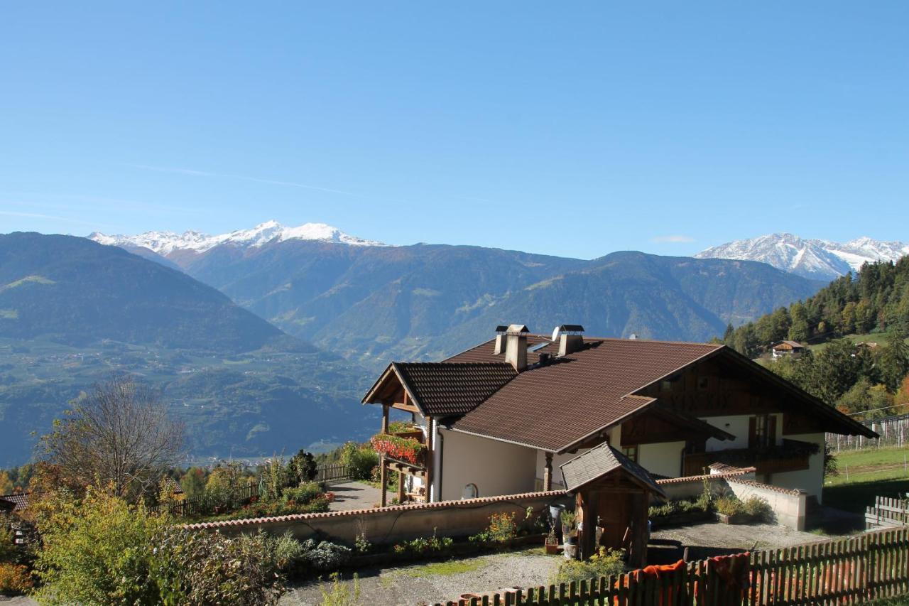 Eichernhof Apartment Marillenbluete Verano Exteriör bild